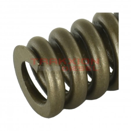 Paquete 10 resorte de presión de tobera de inyector Diesel para S50, S60, Detroit Diesel, Dipaco RTF26232