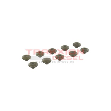 Set de 10 asientos de resorte Stanadyne 24216, 780081