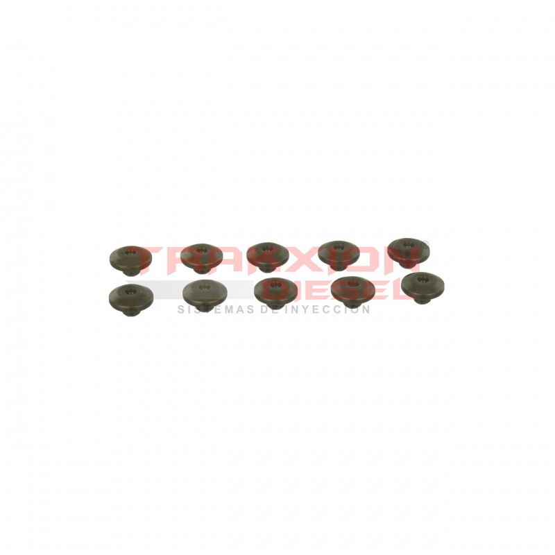 Set de 10 asientos de resorte Stanadyne 24216, 780081