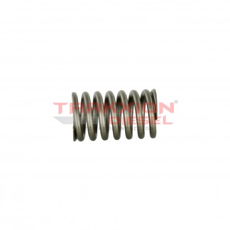 Resorte de elemento de bomba Diesel Minimec CAV Delphi para Tractor 6600 Ford, 00149, 25883, 26425192, 3062729R1, C0NN9C576A