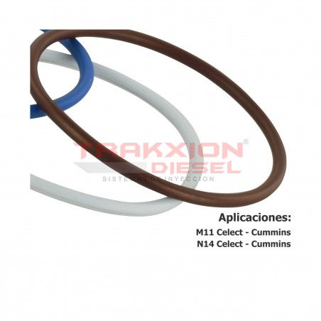 Kit de ligas, sellos exteriores Delphi HTK116 de inyector Diesel para M11, N14 Celect Cummins