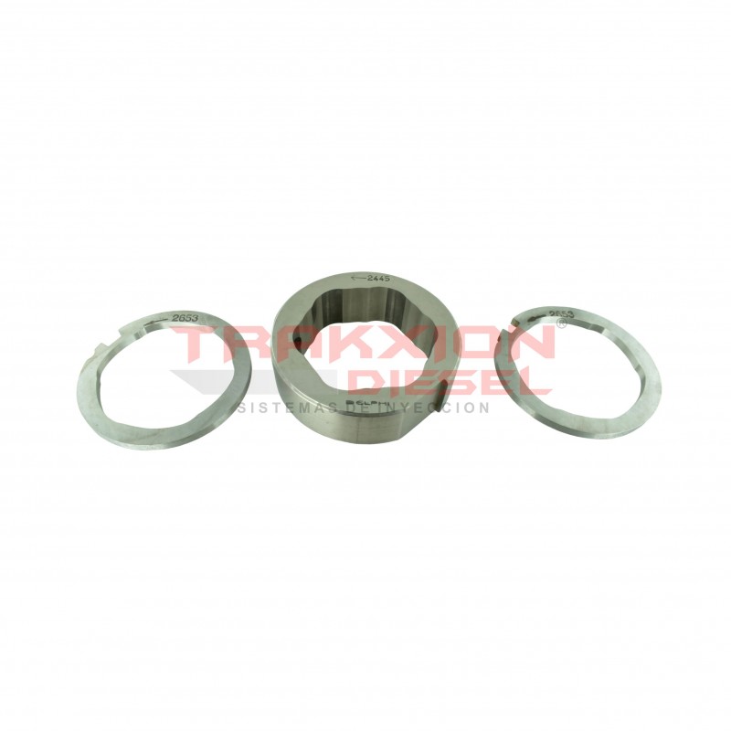 Conjunto anillo aro de levas y placas de bomba Diesel Delphi, 28282654