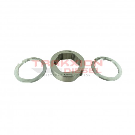Conjunto anillo aro de levas y placas de bomba Diesel Delphi, 28282654