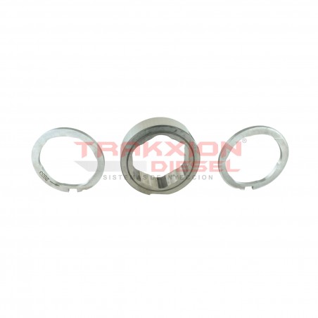 Conjunto anillo aro de levas y placas de bomba Diesel Delphi, 28282654