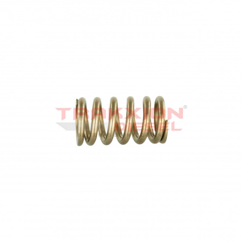 Muelle resorte 28293030, 28476661 de empujador de elemento de bomba Diesel Delphi para 2.0 Crafter, Transporter, VW