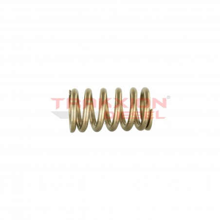 Muelle resorte 28293030, 28476661 de empujador de elemento de bomba Diesel Delphi para 2.0 Crafter, Transporter, VW