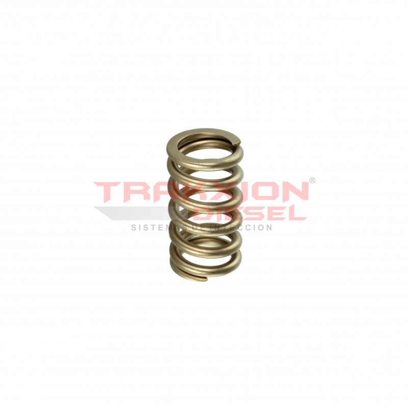 Muelle resorte 28293030, 28476661 de empujador de elemento de bomba Diesel Delphi para 2.0 Crafter, Transporter, VW