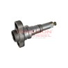 Elemento de bomba lineal Diesel Bosch 2418455193