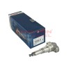 Elemento de bomba lineal Diesel Bosch 2418455367, 3094381