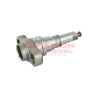 Elemento de bomba lineal Diesel Bosch 2418455396, 51.11125-0012, 51111250012, para cilindros 4, 5, 6, 8, 10, 12