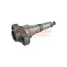 Elemento de bomba lineal Diesel Bosch 2418455512