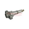 Elemento de bomba lineal Diesel Bosch 2418455528