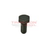 Tornillo hexagonal taladrado M6 para bomba Diesel Bosch 2433456034, 87800617, 20222424, 93190600, 51981500074, A0000746571