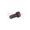 Tornillo torx de bomba Diesel Bosch 2463414005