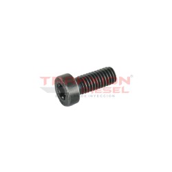 Tornillo torx de bomba Diesel Bosch 2463414005