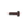 Tornillo torx de bomba Diesel Bosch 2463414005