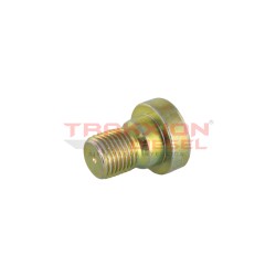 Tapón roscado de bomba Diesel Bosch 2463462001