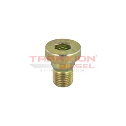 Tapón roscado de bomba Diesel Bosch 2463462001