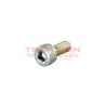 Tornillo allen de bomba Diesel Bosch Zexel 010206-1440, 9442610202, 8971328990, ME741000, 16788DA300, 1678222J00, 1938299000