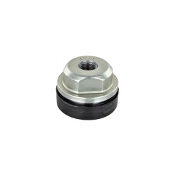 Tapón roscado de cabezal de bomba VE Diesel Bosch 2463452001, F002D12533, 81.90310-0586, 81903100586, 7701044331, 861491