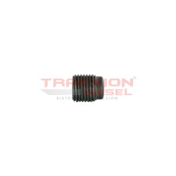 Tapón roscado de bomba CP3 Diesel Bosch F00N201507, 5600735565, 8201011771, 570101999901