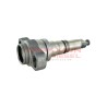 Elemento de bomba lineal Diesel MW Bosch, 1418415546