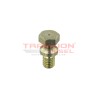 Tornillo descabezable de bomba lineal Diesel Bosch, 2423450051, 11704597, 12213871