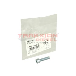 Tornillo torx de bomba Diesel Bosch, 2910148203, 2910142203, 100130014