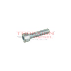 Tornillo torx de bomba Diesel Bosch, 2910148203, 2910142203, 100130014