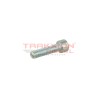 Tornillo torx de bomba Diesel Bosch, 2910148203, 2910142203, 100130014