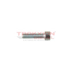 Tornillo torx de bomba Diesel Bosch, 2910148203, 2910142203, 100130014