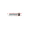 Tornillo torx de bomba Diesel Bosch, 2910148203, 2910142203, 100130014