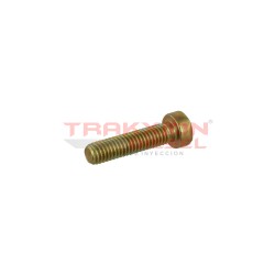 Tornillo cilíndrico M6 de bomba Diesel Bosch, 2912710203, 1339860, 93190733