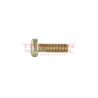 Tornillo torx corto de módulo de bomba Diesel VP29, VP44 Bosch, 2912731158, 2912731162