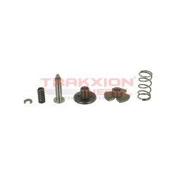 Plato de inducidos F00ZC99008 de inyector Diesel Bosch