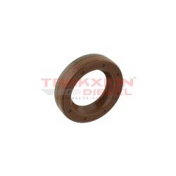 Retén 20x31 mm de bomba Diesel VE, CP1, Bosch 2460283001, F01M100984, 9947364, 42551388, 81965030313, 5001833971, 7701042070