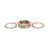 Conjunto anillo de levas y placas 399A 7189-100DC
