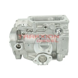 Cuerpo de bomba rotativa VE F002D14985