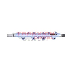Riel tubo de presión Diesel Bosch para Worker 17.210, 17.230, 17.260, 26.260, 31.260, VW, 0445226031, 961209070014, 2W0133319