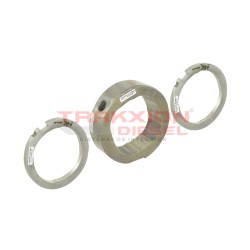 Conjunto anillo de levas y placas 7189-100T 7189-100CG