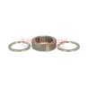 Conjunto anillo de levas y placas 7189-100T 7189-100CG