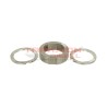 Conjunto anillo de levas y placas 385B 7189-100DD