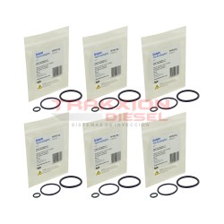 Ligas externas kits de 6...