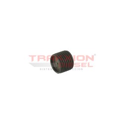 Conjunto tapón de placa final Stanadyne 15228