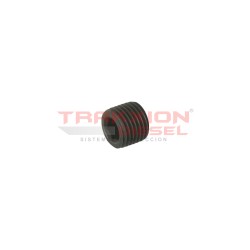 Conjunto tapón de placa final Stanadyne 15228
