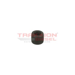 Conjunto tapón de placa final Stanadyne 15228