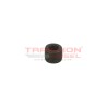 Conjunto tapón de placa final Stanadyne 15228