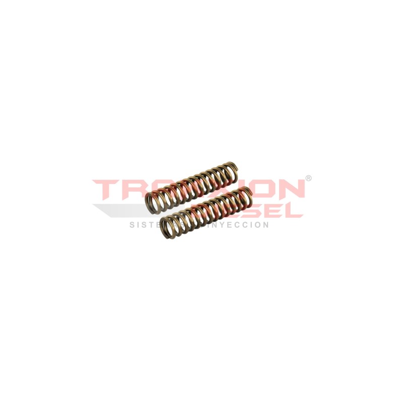 Set de 2 resorte de cabezal 41782 de bomba Diesel Stanadyne
