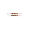 Set de 2 resorte de cabezal 41782 de bomba Diesel Stanadyne