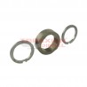 Conjunto anillo de levas y placas Delphi 7174-067FX
